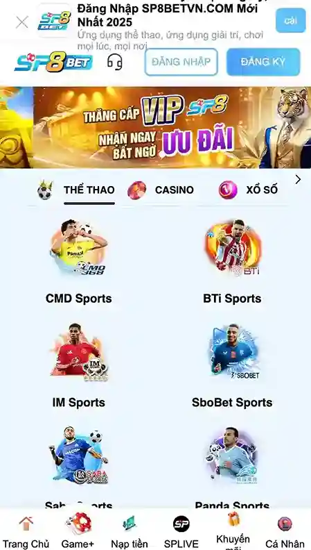 Tham gia tải app SP8BET tận hưởng trải nghiệm